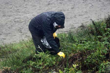 Naturschutz am Gewässer